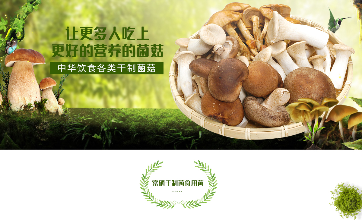 干制菌_01.jpg