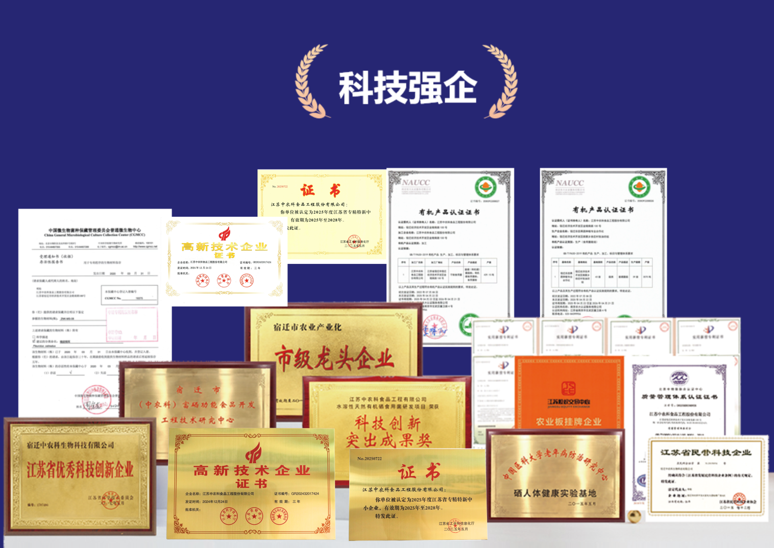 未命名的設(shè)計.png